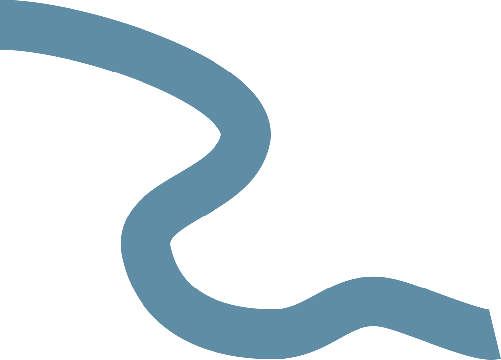 支流